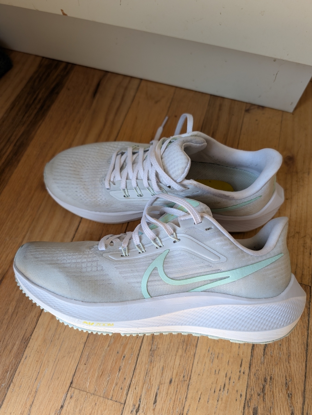 Nike Pegasus 39 Air Zoom